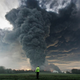 Illustration for article titled One of historys most violent explosions may have been caused by trees